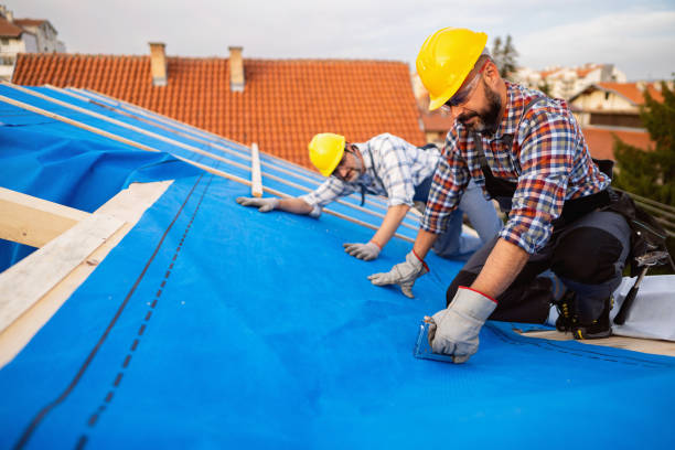Best Roof Repair Services  in Sand Point, AK