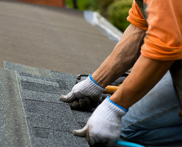 Best Roof Gutter Cleaning  in Sand Point, AK