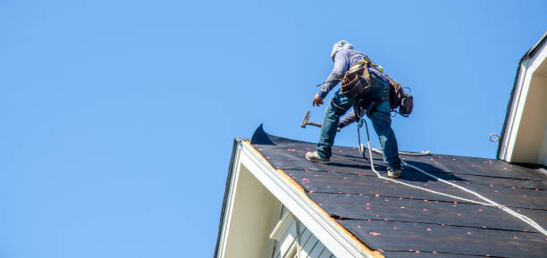 Best Metal Roofing Contractor  in Sand Point, AK